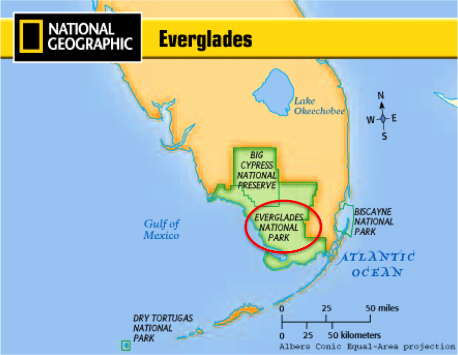 Getting To Know Wetland With Case Study Everglade Florida
